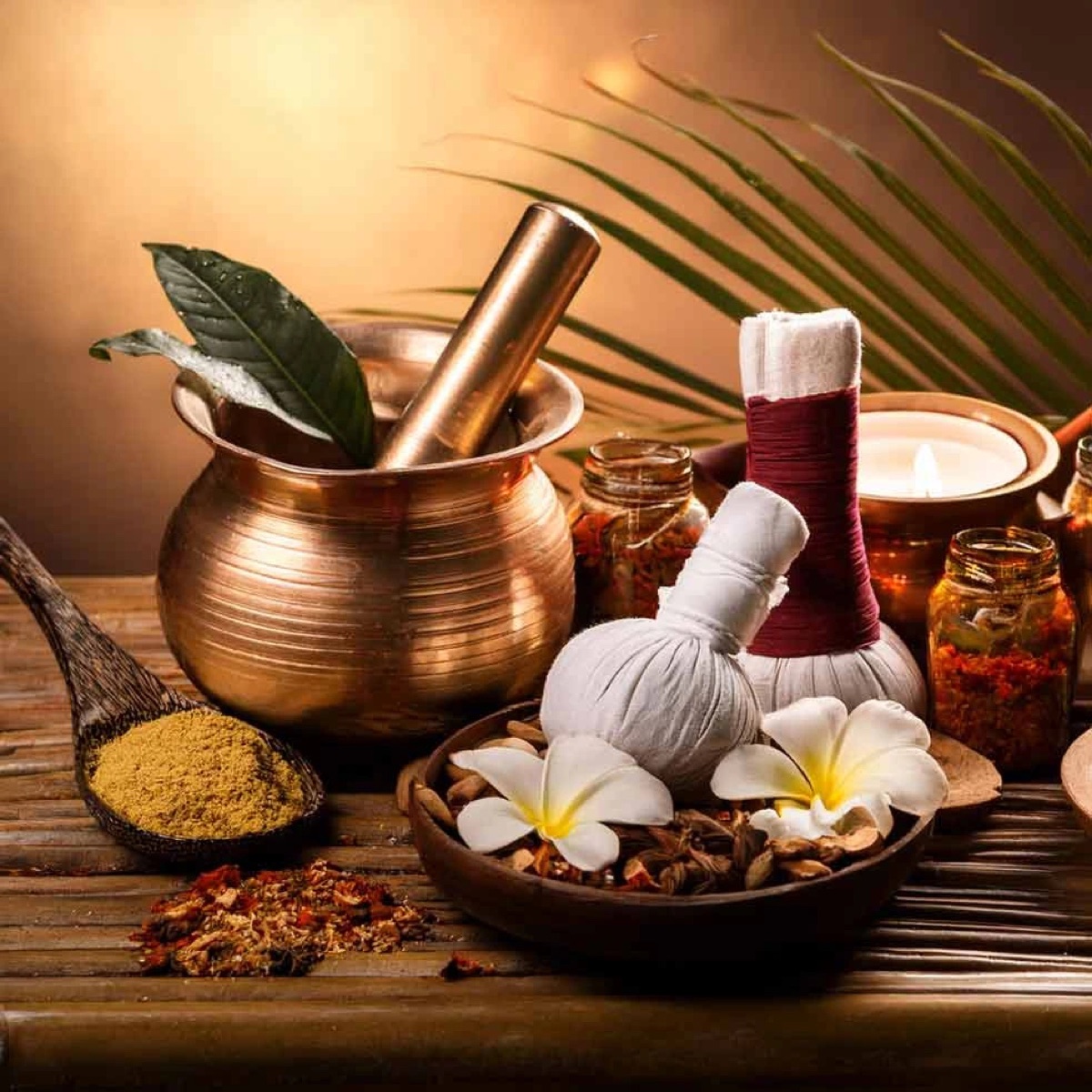 Ayurvedic Consultation at SOMA Healing Spa